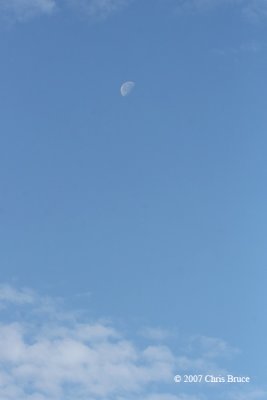 Daytime Moon