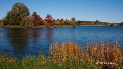 Dows Lake from the Arboretum