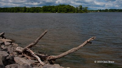Ottawa River Scenic (Lower Duck Island)