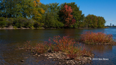 Tinges of Fall