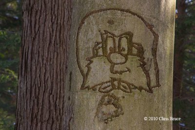 g1/02/933202/3/131435849.EeUflo5c.jpg