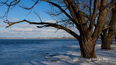 Winter at Mud Lake