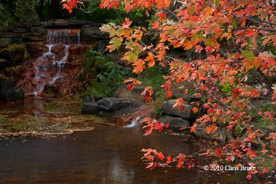 Andrew Haydon Park Waterfall