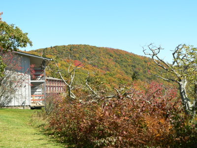 P1070027.JPG