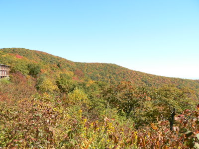 P1070030.JPG