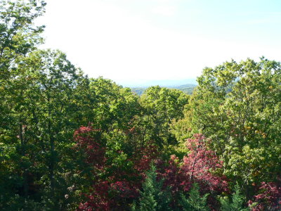 P1070055.JPG