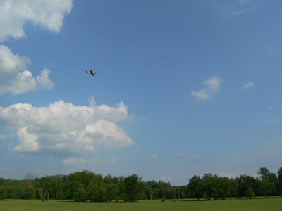 P-51