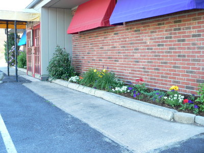 More Flowers