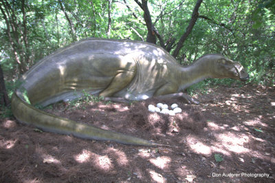 The Dinosaurs at San Antonio Botanical Gardens