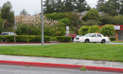 well015082.jpg