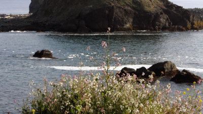 On the Cliffside II