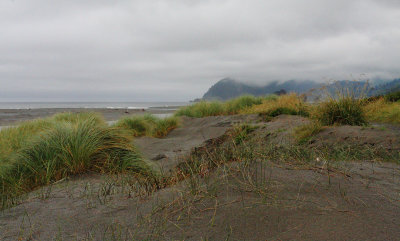 Mouth of Pistol River II