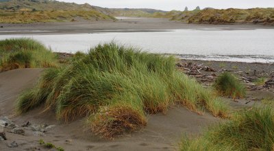 Mouth of Pistol River III