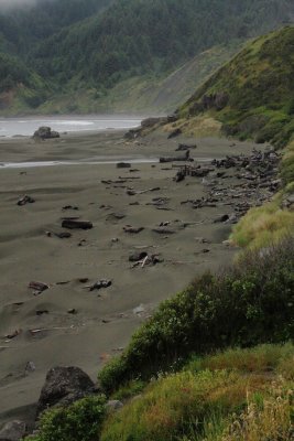 Oregon Coast I