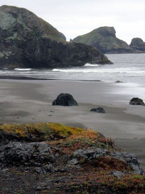 Oregon Coast IX