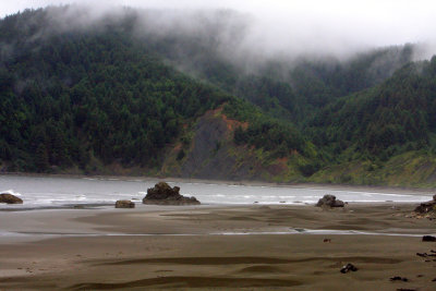 Oregon Coast V