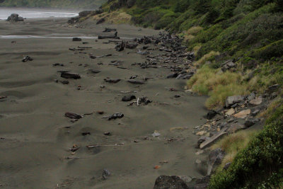 Oregon Coast VI