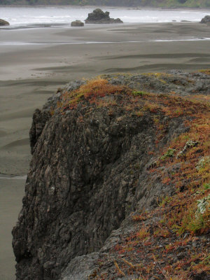 Oregon Coast VII