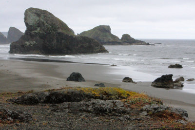 Oregon Coast X