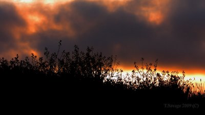 Moon Shots and Sunsets