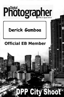 w-DPP-City-ID1.jpg