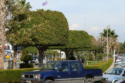 g1/03/26703/3/112126818.UF4MqTTS.jpg