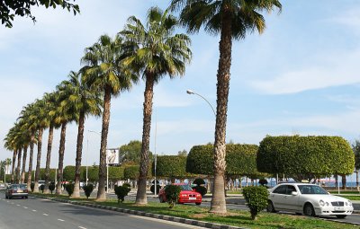 Limassol