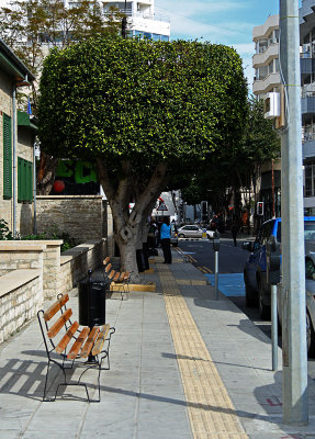 Neatly Pruned Trees