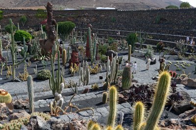 Cactus Garden