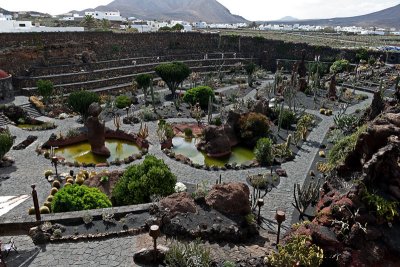 Cactus Garden