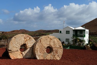 Cactus Garden