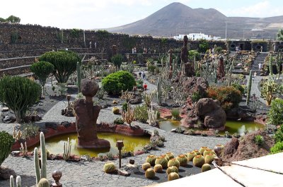 Cactus Garden