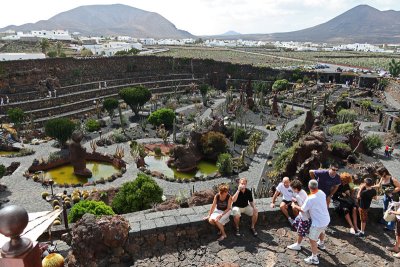 Cactus Garden