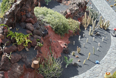 Cactus Garden