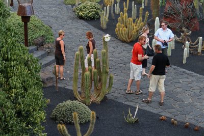 Cactus Garden