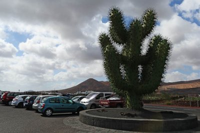 Jardin de Cactus