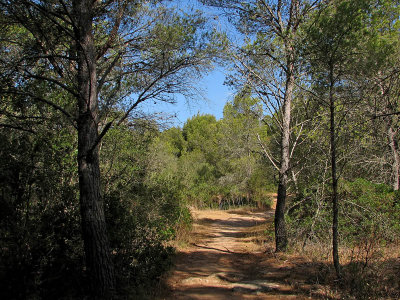 Cala Galdana