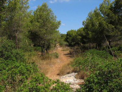 Cala Galdana