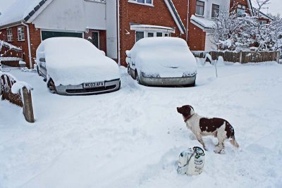 Snowed in, in Shevington