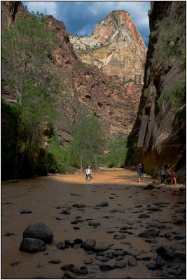 Wading in The Narrows