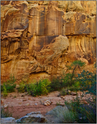 Names Carved on the Rock Walls of Capitol Gorge