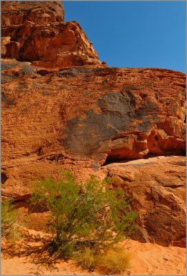 More Petroglyphs 2