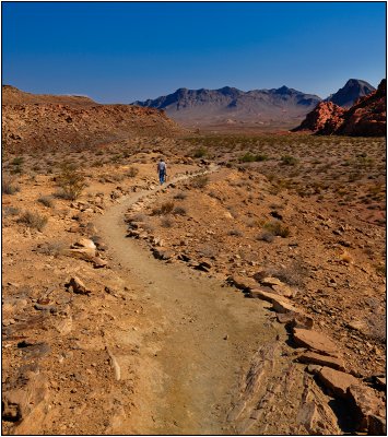 Foot Path Near Atlatl Rock