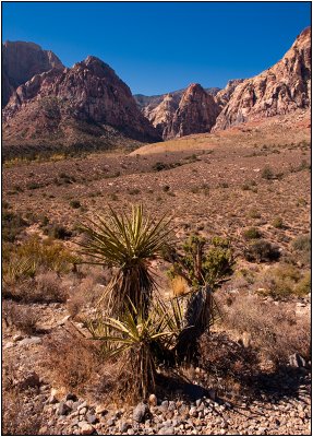 Pine Creek Canyon #1