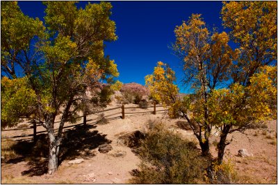 Red Rock Canyon National Conservation Area