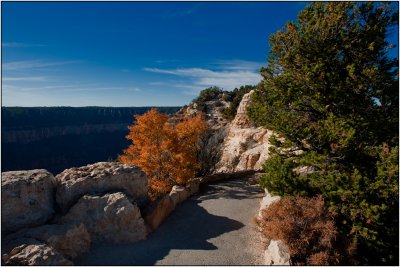 The Trail to Bright Angel Point