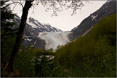FIrst View of Davidson Glacier