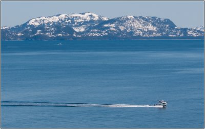 Cruising the Fjord