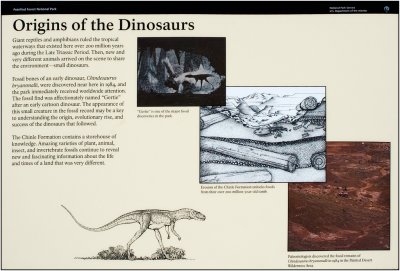 Origins of the Dinosaurs