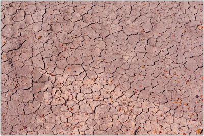 Parched Ground